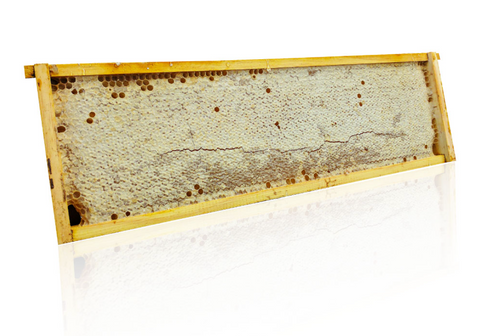 Raw Australian Honeycomb