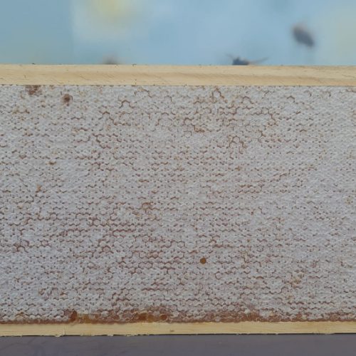 Certified Organic Australian Honeycomb Full Frame